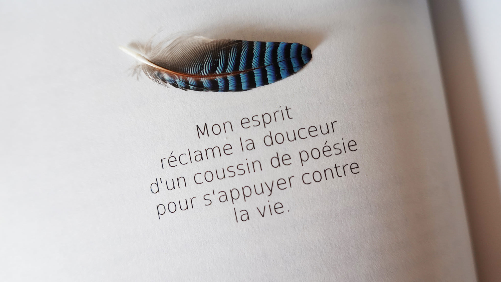 haïku